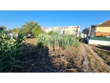 id8ae87d01-0000-0500-0000-0000133bad08