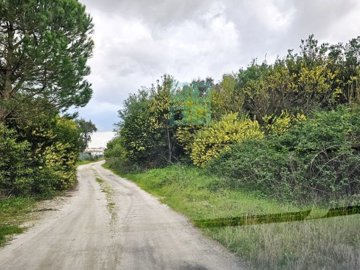 id57418d01-0000-0500-0000-0000148c72d5