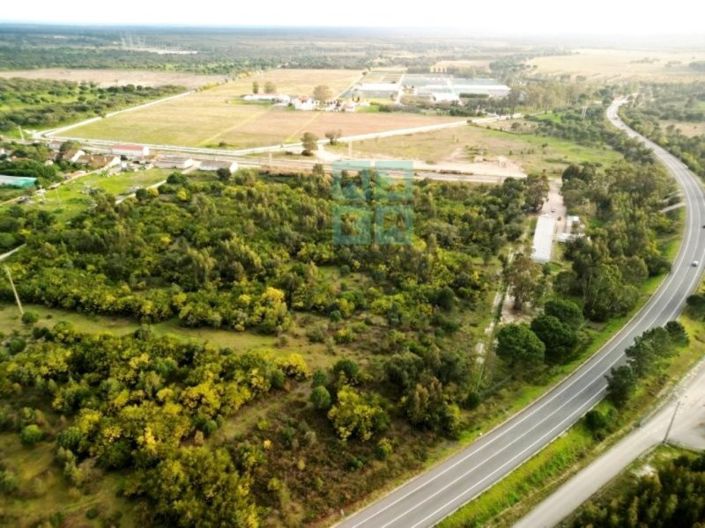 Image No.40-Plot for sale