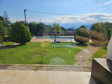 img_83f37239-c3e1-418a-b7c7-8a47c9f9433d