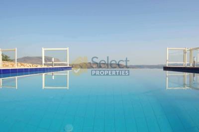 ff8806067cec4cb59ca9f4a0c9c44724-thumb