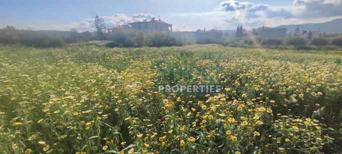 Image No.3-Terrain à vendre à Voukolies