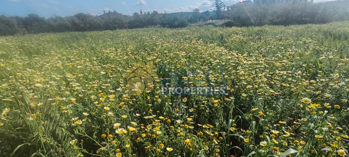 Image No.4-Terrain à vendre à Voukolies