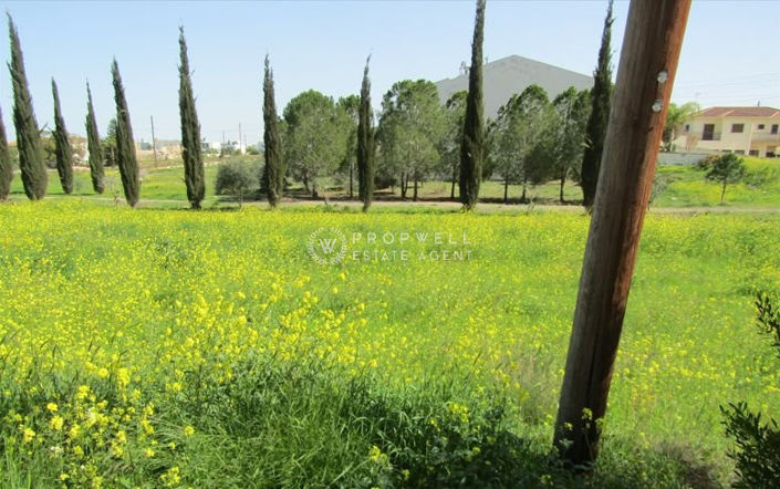 Image No.3-Plot for sale