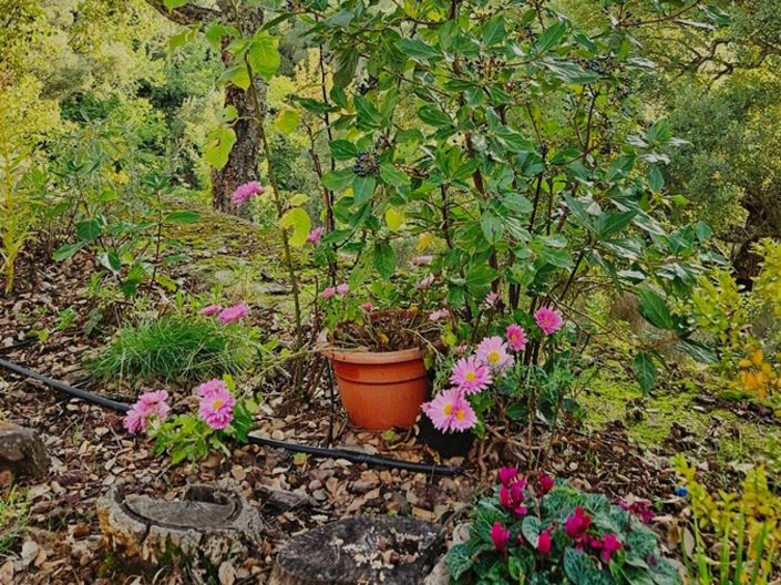 Image No.24-2 Bed Property for sale