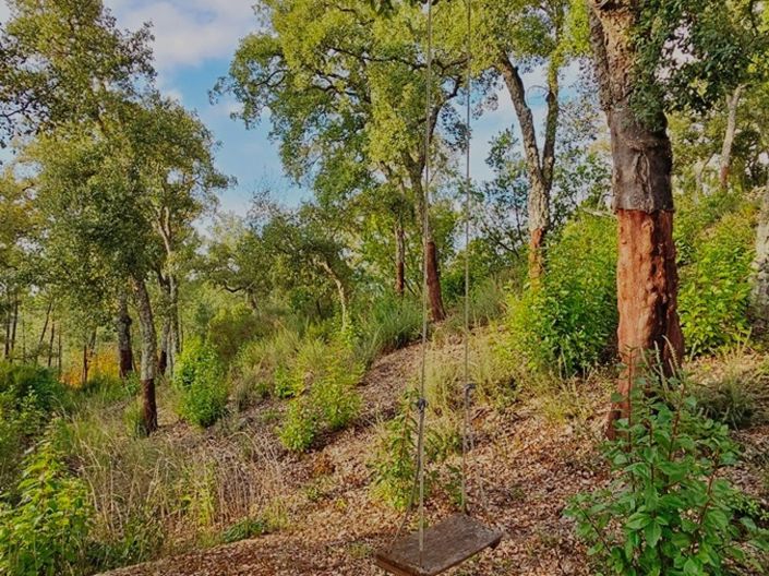 Image No.31-2 Bed Property for sale