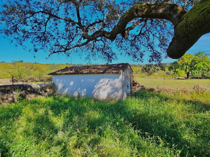 Image No.26-Propriété de 4 chambres à vendre à Aracena