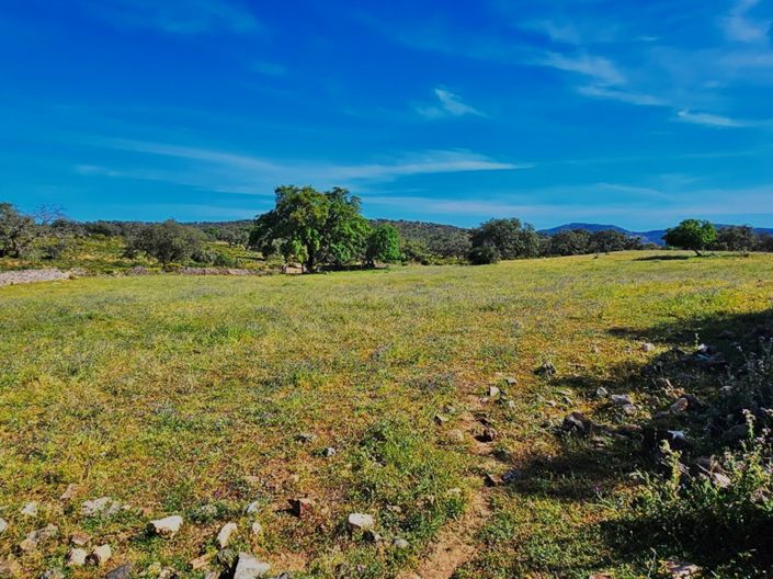 Image No.27-Propriété de 4 chambres à vendre à Aracena