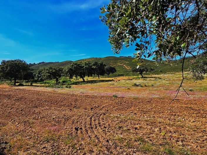 Image No.30-Propriété de 4 chambres à vendre à Aracena