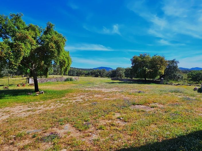 Image No.37-Propriété de 4 chambres à vendre à Aracena