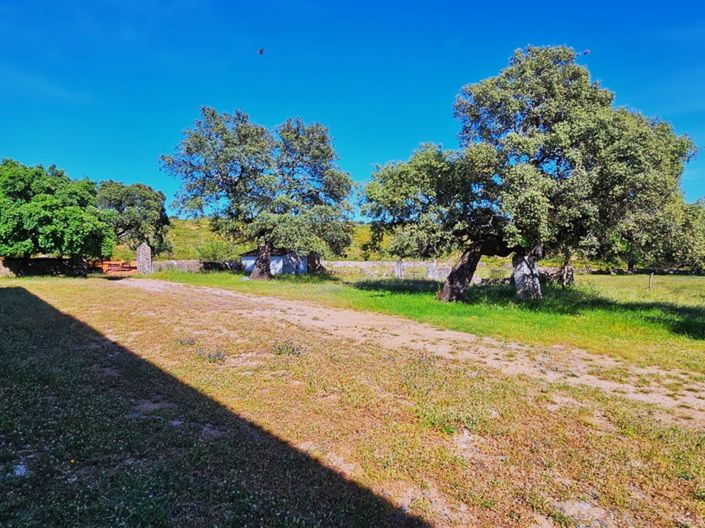 Image No.38-Propriété de 4 chambres à vendre à Aracena