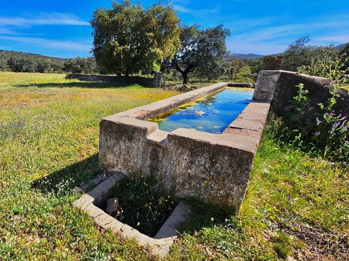 Image No.6-Propriété de 4 chambres à vendre à Aracena