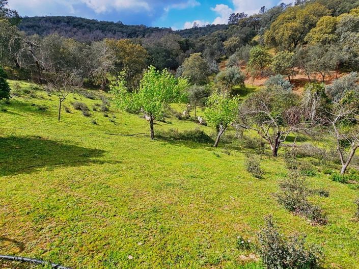 Image No.45-5 Bed Property for sale