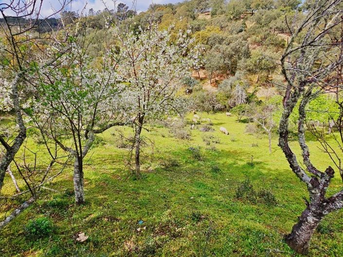 Image No.46-5 Bed Property for sale