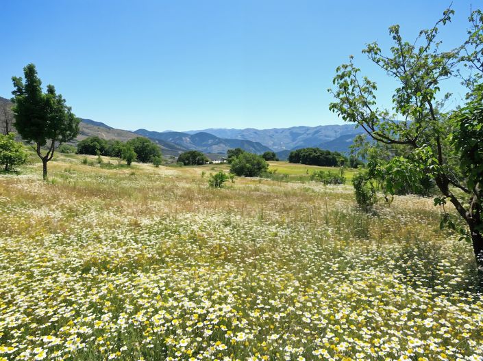 Image No.48-8 Bed Property for sale