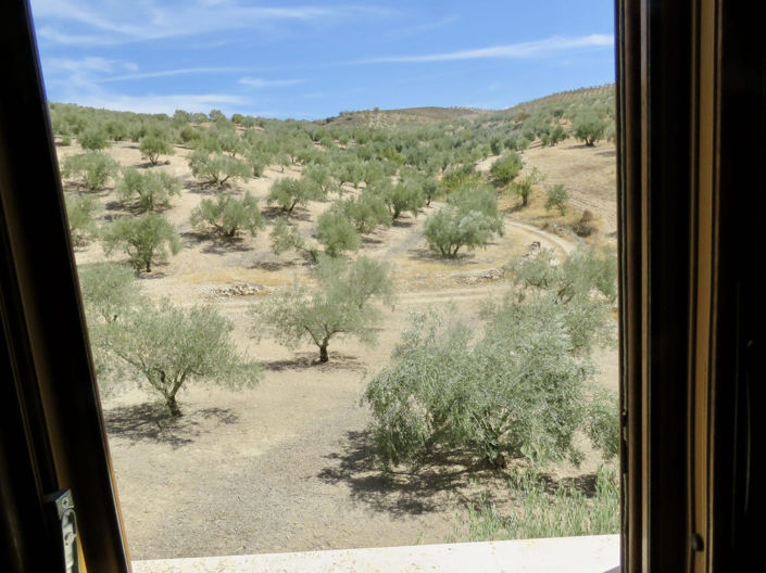 Image No.38-5 Bed Property for sale