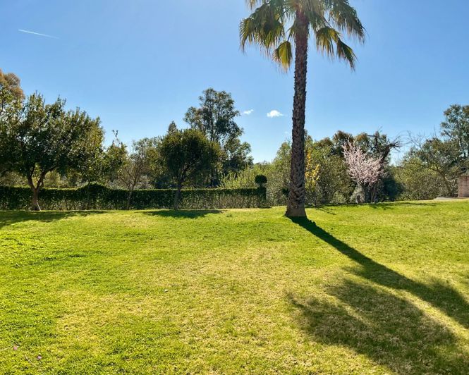 Image No.4-Propriété de 5 chambres à vendre à Cazalla de la Sierra