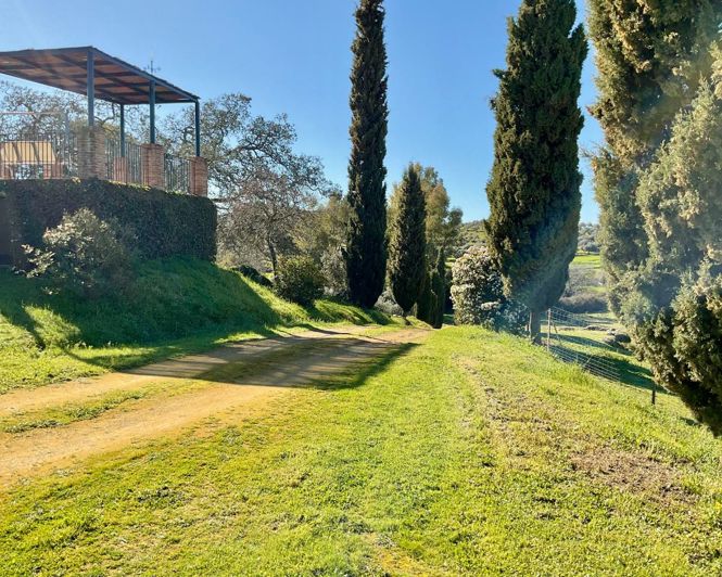 Image No.6-Propriété de 5 chambres à vendre à Cazalla de la Sierra