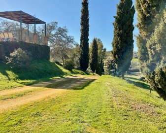 491entradaafincadesdecamino-copia-copia-copia