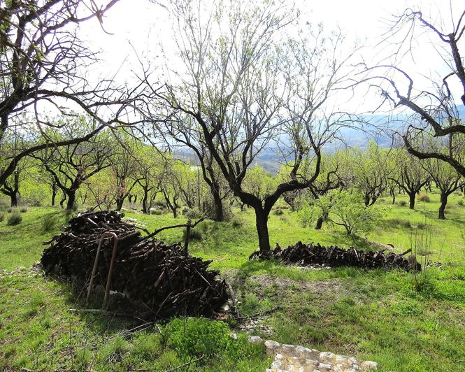 Image No.41-2 Bed Property for sale