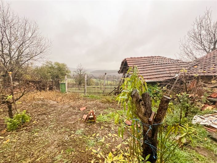 Image No.28-Maison de 4 chambres à vendre à Borovo