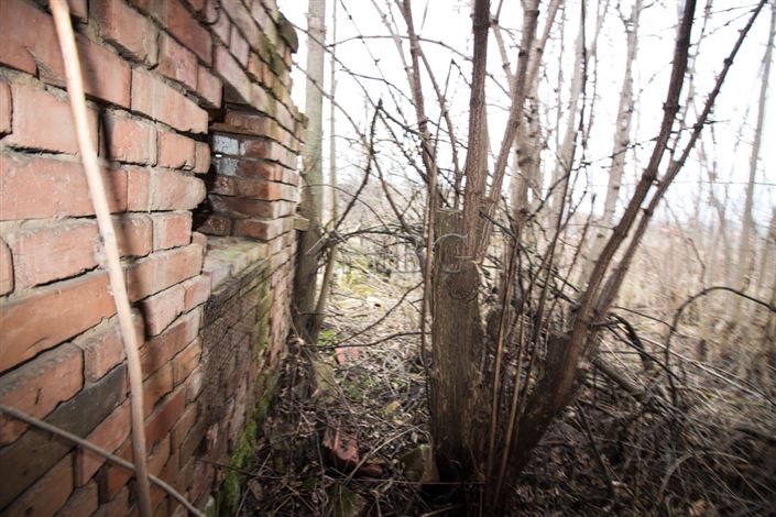 Image No.25-Maison de 3 chambres à vendre à Bulgarie