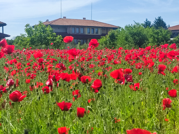 Image No.29-Maison de 3 chambres à vendre à Balchik