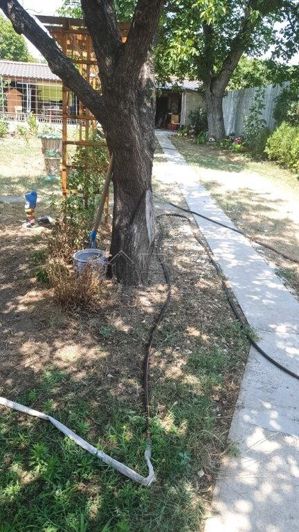 Image No.3-Maison de 2 chambres à vendre à Levski