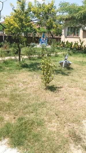 Image No.9-Maison de 2 chambres à vendre à Levski