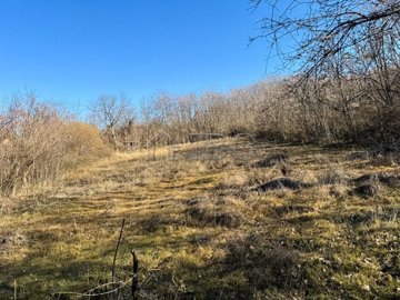 1 - Ruse, Propriété