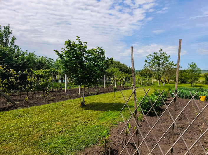 Image No.16-Maison de 3 chambres à vendre à Dobrich
