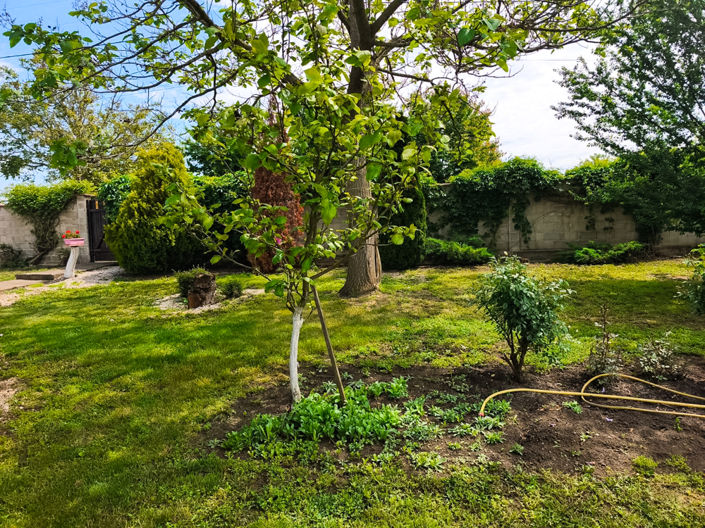 Image No.17-Maison de 3 chambres à vendre à Dobrich
