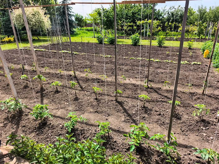 Image No.18-Maison de 3 chambres à vendre à Dobrich