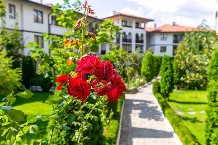 Image No.18-1 Bed Apartment for sale