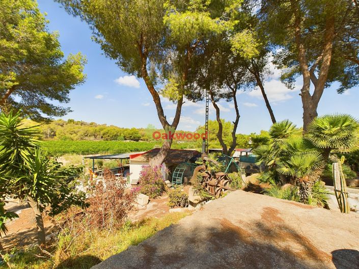 Image No.12-Maison de campagne de 1 chambre à vendre à Alicante