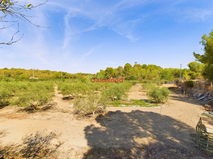 Image No.18-Maison de campagne de 1 chambre à vendre à Alicante