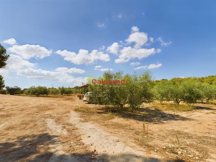 Image No.19-Maison de campagne de 1 chambre à vendre à Alicante