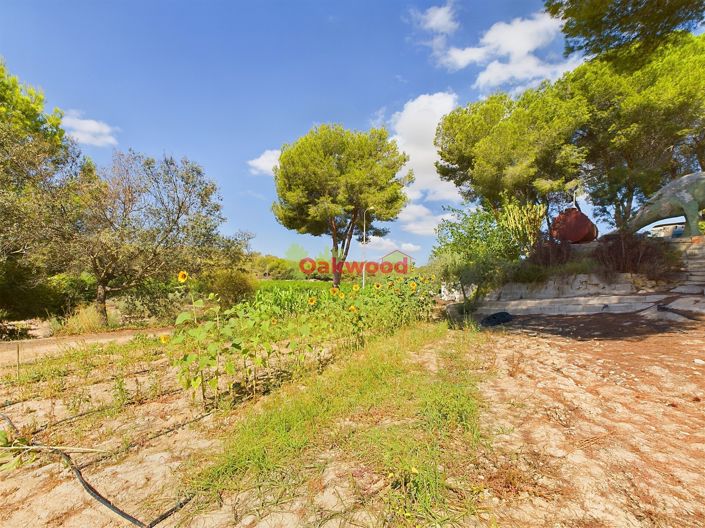 Image No.20-Maison de campagne de 1 chambre à vendre à Alicante