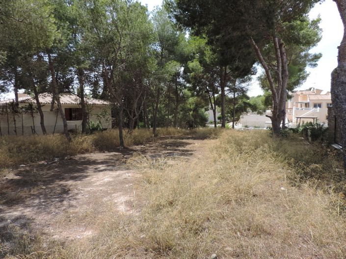 Image No.2-Terre à vendre à Pinar de Campoverde