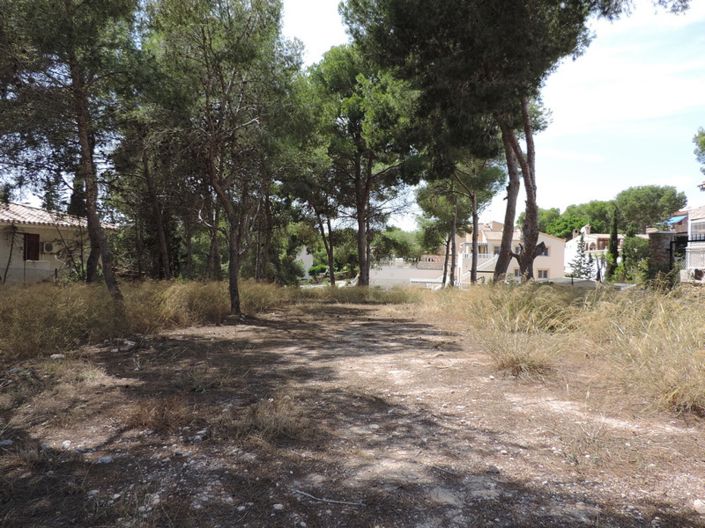 Image No.3-Terre à vendre à Pinar de Campoverde