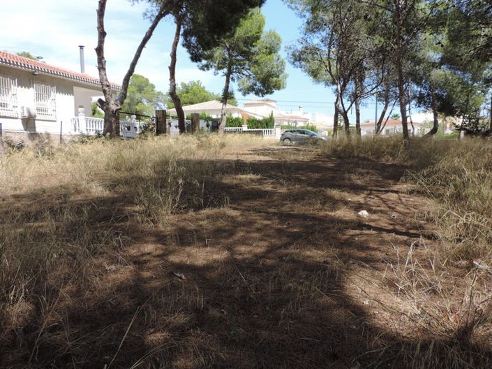 Image No.4-Terre à vendre à Pinar de Campoverde