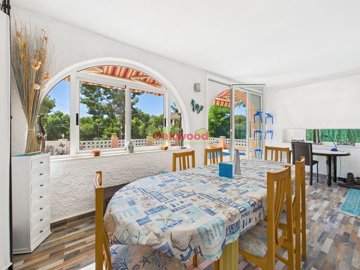 gcam04245g0-pr0059-still006