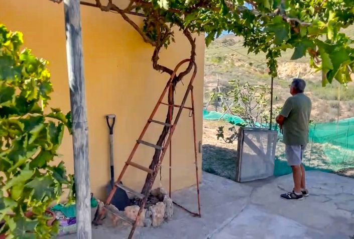 Image No.17-Maison de campagne à vendre à Huercal-Overa