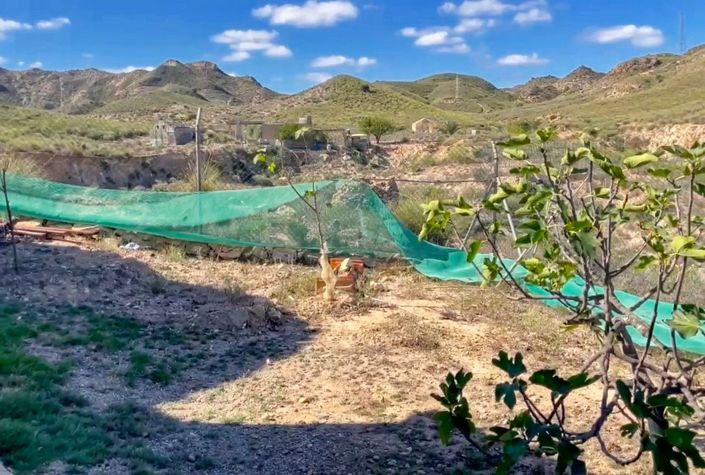Image No.18-Maison de campagne à vendre à Huercal-Overa