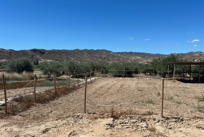 Image No.25-Maison de campagne de 7 chambres à vendre à Arboleas