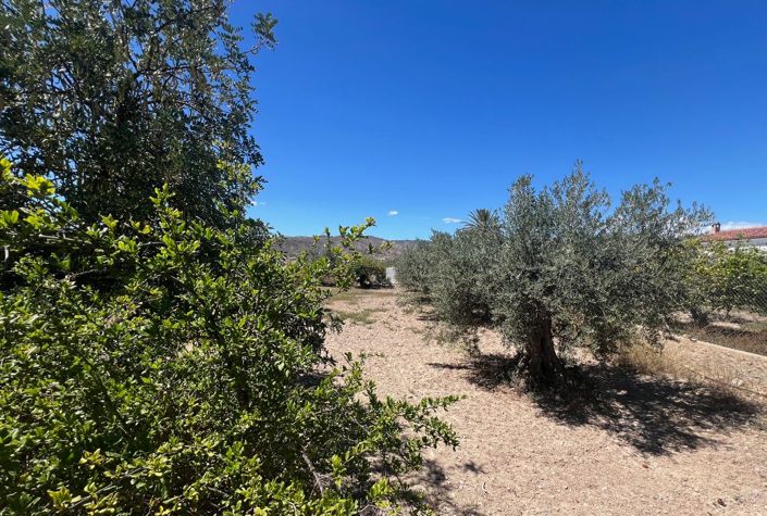 Image No.27-Maison de campagne de 7 chambres à vendre à Arboleas