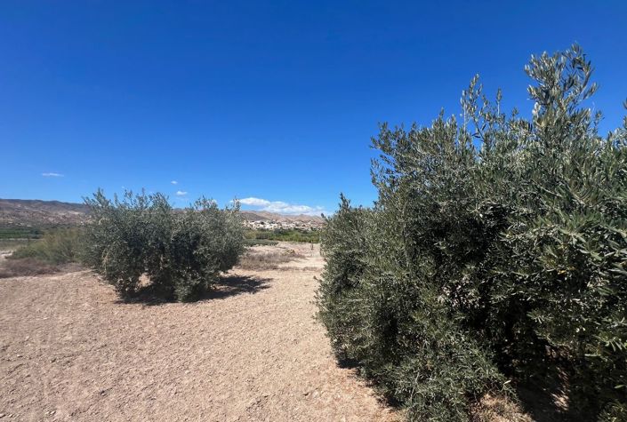 Image No.5-Maison de campagne de 7 chambres à vendre à Arboleas