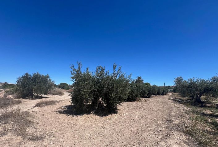 Image No.7-Maison de campagne de 7 chambres à vendre à Arboleas