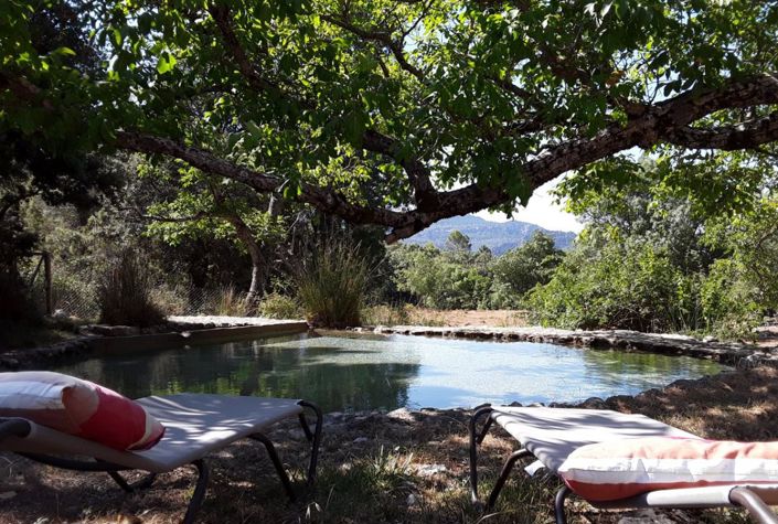 Image No.15-Maison de campagne de 6 chambres à vendre à Segura de la Sierra