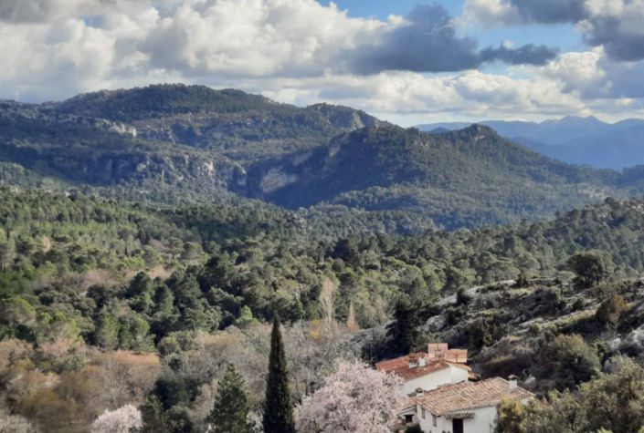 Image No.18-Maison de campagne de 6 chambres à vendre à Segura de la Sierra